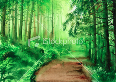 Зеленый туманный лес. 2013, бумага, акварель, 21×30